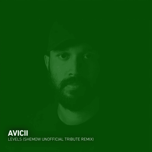 AVICII - LEVELS